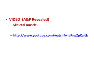 • VIDEO (A&P Revealed)
– Skeletal muscle
– http://www.youtube.com/watch?v=vPnpZpCaiLk
 