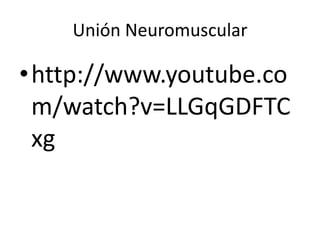Unión Neuromuscular
•http://www.youtube.co
m/watch?v=LLGqGDFTC
xg
 