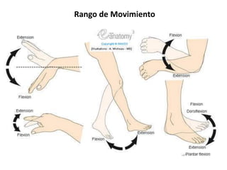 Rango de Movimiento
 