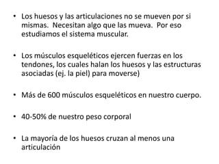 • Los huesos y las articulaciones no se mueven por si
mismas. Necesitan algo que las mueva. Por eso
estudiamos el sistema muscular.
• Los músculos esqueléticos ejercen fuerzas en los
tendones, los cuales halan los huesos y las estructuras
asociadas (ej. la piel) para moverse)
• Más de 600 músculos esqueléticos en nuestro cuerpo.
• 40-50% de nuestro peso corporal
• La mayoría de los huesos cruzan al menos una
articulación
 