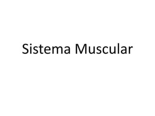 Sistema Muscular
 