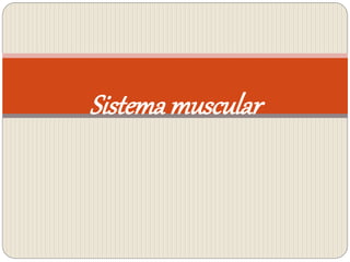 Sistemamuscular
 