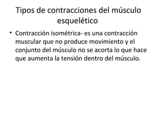 Tipos de contracciones del músculo
esquelético
• Contracción isométrica- es una contracción
muscular que no produce movimiento y el
conjunto del músculo no se acorta lo que hace
que aumenta la tensión dentro del músculo.
 