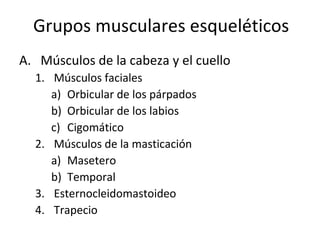 Grupos musculares esqueléticos
A. Músculos de la cabeza y el cuello
1. Músculos faciales
a) Orbicular de los párpados
b) Orbicular de los labios
c) Cigomático
2. Músculos de la masticación
a) Masetero
b) Temporal
3. Esternocleidomastoideo
4. Trapecio
 