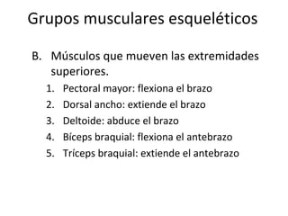 Grupos musculares esqueléticos
B. Músculos que mueven las extremidades
superiores.
1. Pectoral mayor: flexiona el brazo
2. Dorsal ancho: extiende el brazo
3. Deltoide: abduce el brazo
4. Bíceps braquial: flexiona el antebrazo
5. Tríceps braquial: extiende el antebrazo
 