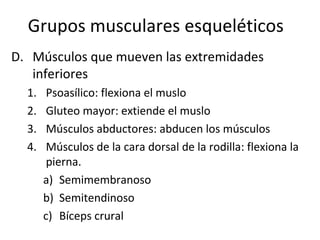 Grupos musculares esqueléticos
D. Músculos que mueven las extremidades
inferiores
1. Psoasílico: flexiona el muslo
2. Gluteo mayor: extiende el muslo
3. Músculos abductores: abducen los músculos
4. Músculos de la cara dorsal de la rodilla: flexiona la
pierna.
a) Semimembranoso
b) Semitendinoso
c) Bíceps crural
 