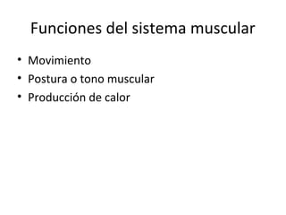 Funciones del sistema muscular
• Movimiento
• Postura o tono muscular
• Producción de calor
 