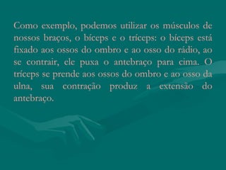 Como exemplo, podemos utilizar os músculos de
nossos braços, o bíceps e o tríceps: o bíceps está
fixado aos ossos do ombro e ao osso do rádio, ao
se contrair, ele puxa o antebraço para cima. O
tríceps se prende aos ossos do ombro e ao osso da
ulna, sua contração produz a extensão do
antebraço.
 