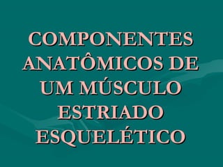COMPONENTESCOMPONENTES
ANATÔMICOS DEANATÔMICOS DE
UM MÚSCULOUM MÚSCULO
ESTRIADOESTRIADO
ESQUELÉTICOESQUELÉTICO
 