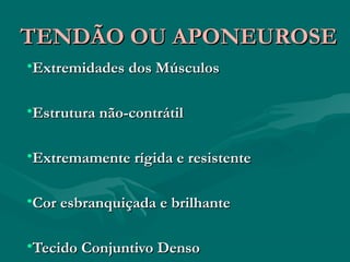 TENDÃO OU APONEUROSETENDÃO OU APONEUROSE
•Extremidades dos MúsculosExtremidades dos Músculos
•Estrutura não-contrátilEstrutura não-contrátil
•Extremamente rígida e resistenteExtremamente rígida e resistente
•Cor esbranquiçada e brilhanteCor esbranquiçada e brilhante
•Tecido Conjuntivo DensoTecido Conjuntivo Denso
 
