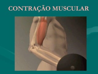 CONTRAÇÃO MUSCULAR
 