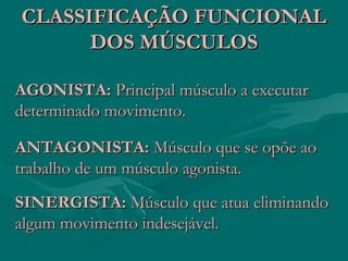 CLASSIFICAÇÃO FUNCIONALCLASSIFICAÇÃO FUNCIONAL
DOS MÚSCULOSDOS MÚSCULOS
AGONISTA:AGONISTA: Principal músculo a executarPrincipal músculo a executar
determinado movimento.determinado movimento.
ANTAGONISTA:ANTAGONISTA: Músculo que se opõe aoMúsculo que se opõe ao
trabalho de um músculo agonista.trabalho de um músculo agonista.
SINERGISTA:SINERGISTA: Músculo que atua eliminandoMúsculo que atua eliminando
algum movimento indesejável.algum movimento indesejável.
 