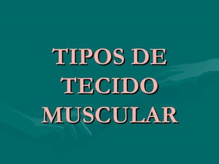 TIPOS DETIPOS DE
TECIDOTECIDO
MUSCULARMUSCULAR
 