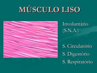 MÚSCULO LISOMÚSCULO LISO
InvoluntárioInvoluntário
(S.N.A.)(S.N.A.)
S. CirculatórioS. Circulatório
S. DigestórioS. Digestório
S. RespiratórioS. Respiratório
 