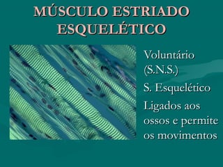 MÚSCULO ESTRIADOMÚSCULO ESTRIADO
ESQUELÉTICOESQUELÉTICO
VoluntárioVoluntário
(S.N.S.)(S.N.S.)
S. EsqueléticoS. Esquelético
Ligados aosLigados aos
ossos e permiteossos e permite
os movimentosos movimentos
 