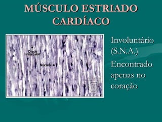 MÚSCULO ESTRIADOMÚSCULO ESTRIADO
CARDÍACOCARDÍACO
InvoluntárioInvoluntário
(S.N.A.)(S.N.A.)
EncontradoEncontrado
apenas noapenas no
coraçãocoração
 