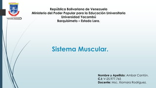 República Bolivariana de Venezuela
Ministerio del Poder Popular para la Educación Universitaria
Universidad Yacambú
Barquisimeto – Estado Lara.
Sistema Muscular.
Nombre y Apellido: Ambar Cantón.
C.I: V-25.977.765
Docente: Msc. Xiomara Rodríguez.
 