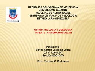 REPÚBLICA BOLIVARIANA DE VENEZUELA
UNIVERSIDAD YACAMBÚ
FACULTAD DE HUMANIDADES
ESTUDIOS A DISTANCIA DE PSICOLOGÍA
ESTADO LARA-VENEZUELA
CURSO: BIOLOGIA Y CONDUCTA
TAREA 6 SISTEMA MUSCULAR
Participante:
Carlos Ramón Landaeta López
C.I. V- 12.034.947
Sección EDO3DOV
Prof . Xiomara C. Rodriguez
 