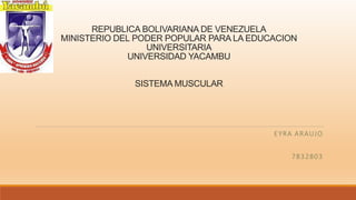 REPUBLICA BOLIVARIANA DE VENEZUELA
MINISTERIO DEL PODER POPULAR PARA LA EDUCACION
UNIVERSITARIA
UNIVERSIDAD YACAMBU
SISTEMA MUSCULAR
EYRA ARAUJO
7832803
 