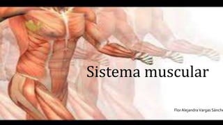 Sistema muscular
Flor AlejandraVargas Sánche
 