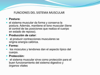 Postura:
 el sistema muscular da forma y conserva la
postura. Además, mantiene el tono muscular (tiene
el control de las posiciones que realiza el cuerpo
en estado de reposo).
 Producción de calor:
 al producir contracciones musculares se
origina energía calórica.
 Forma:
 los músculos y tendones dan el aspecto típico del
cuerpo.
 Protección:
 el sistema muscular sirve como protección para el
buen funcionamiento del sistema digestivo y
órganos vitales
FUNCIONES DEL SISTEMA MUSCULAR
 