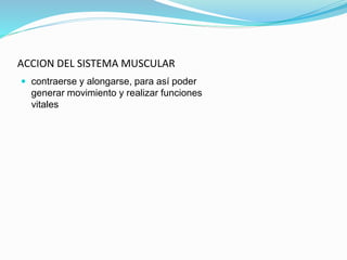 ACCION DEL SISTEMA MUSCULAR
 contraerse y alongarse, para así poder
generar movimiento y realizar funciones
vitales
 