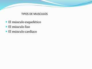TIPOS DE MUSCULOS
 El músculo esquelético
 El músculo liso
 El músculo cardíaco
 