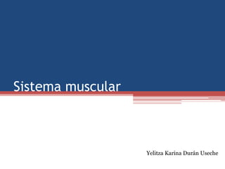 Sistema muscular
Yelitza Karina Durán Useche
 