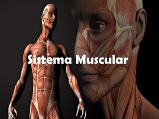 Sistema Muscular
 