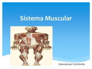 Sistema Muscular
Elaborado por: Erik Briceño
 