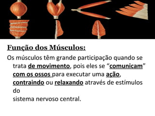SISTEMA
MUSCULO ESQUELETICO
Função dos Músculos:
Os músculos têm grande participação quando se
trata de movimento, pois eles se “comunicam”
com os ossos para executar uma ação,
contraindo ou relaxando através de estímulos
do
sistema nervoso central.
 