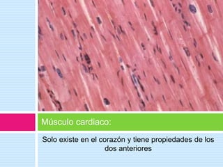 Solo existe en el corazón y tiene propiedades de los
dos anteriores
Músculo cardiaco:
 