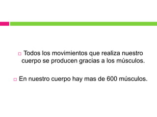  Todos los movimientos que realiza nuestro
cuerpo se producen gracias a los músculos.
 En nuestro cuerpo hay mas de 600 músculos.
 