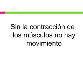 Sin la contracción de
los músculos no hay
movimiento
 