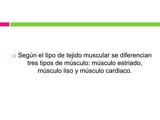  Según el tipo de tejido muscular se diferencian
tres tipos de músculo: músculo estriado,
músculo liso y músculo cardiaco.
 