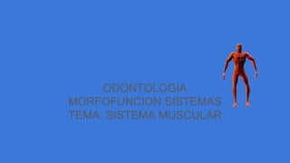 ODONTOLOGIA
MORFOFUNCION SISTEMAS
TEMA: SISTEMA MUSCULAR
 