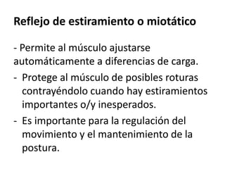 Reflejo de estiramiento o miotático
- Permite al músculo ajustarse
automáticamente a diferencias de carga.
- Protege al músculo de posibles roturas
contrayéndolo cuando hay estiramientos
importantes o/y inesperados.
- Es importante para la regulación del
movimiento y el mantenimiento de la
postura.
 