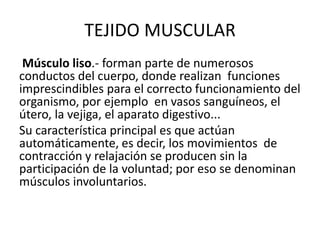 TEJIDO MUSCULAR
Músculo liso.- forman parte de numerosos
conductos del cuerpo, donde realizan funciones
imprescindibles para el correcto funcionamiento del
organismo, por ejemplo en vasos sanguíneos, el
útero, la vejiga, el aparato digestivo...
Su característica principal es que actúan
automáticamente, es decir, los movimientos de
contracción y relajación se producen sin la
participación de la voluntad; por eso se denominan
músculos involuntarios.
 