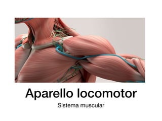 Aparello locomotor
Sistema muscular
 
