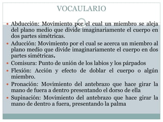 VOCAULARIO
 Abducción: Movimiento por el cual un miembro se aleja
del plano medio que divide imaginariamente el cuerpo en
dos partes simétricas.
 Aducción: Movimiento por el cual se acerca un miembro al
plano medio que divide imaginariamente el cuerpo en dos
partes simétricas.
 Comisura: Punto de unión de los labios y los párpados
 Flexión: Acción y efecto de doblar el cuerpo o algún
miembro.
 Pronación: Movimiento del antebrazo que hace girar la
mano de fuera a dentro presentando el dorso de ella
 Supinación: Movimiento del antebrazo que hace girar la
mano de dentro a fuera, presentando la palma
 