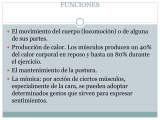 FUNCIONES
 El movimiento del cuerpo (locomoción) o de alguna
de sus partes.
 Producción de calor. Los músculos producen un 40%
del calor corporal en reposo y hasta un 80% durante
el ejercicio.
 El mantenimiento de la postura.
 La mímica: por acción de ciertos músculos,
especialmente de la cara, se pueden adoptar
determinados gestos que sirven para expresar
sentimientos.
 