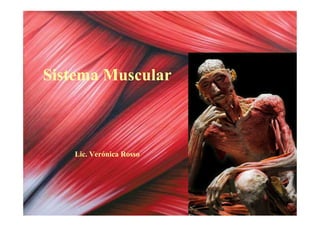 Sistema Muscular
Lic. Verónica Rosso
 