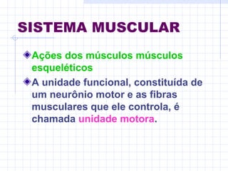 SISTEMA MUSCULAR
Ações dos músculos músculos
esqueléticos
A unidade funcional, constituída de
um neurônio motor e as fibras
musculares que ele controla, é
chamada unidade motora.
 