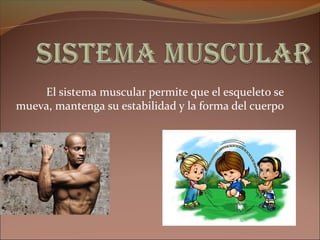 El sistema muscular permite que el esqueleto se
mueva, mantenga su estabilidad y la forma del cuerpo
 