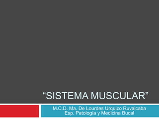 “SISTEMA MUSCULAR”
 M.C.D. Ma. De Lourdes Urquizo Ruvalcaba
     Esp. Patología y Medicina Bucal
 