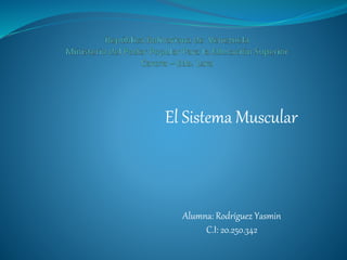 El Sistema Muscular
Alumna: Rodríguez Yasmin
C.I: 20.250.342
 