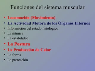 Funciones del sistema muscular
• Locomoción (Movimiento)
• La Actividad Motora de los Órganos Internos
• Información del estado fisiológico
• La mímica
• La estabilidad

• La Postura
• La Producción de Calor
• La forma
• La protección

 