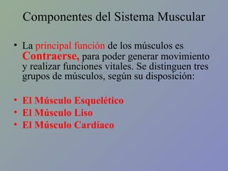 Componentes del Sistema Muscular
• La principal función de los músculos es
Contraerse, para poder generar movimiento
y realizar funciones vitales. Se distinguen tres
grupos de músculos, según su disposición:
• El Músculo Esquelético
• El Músculo Liso
• El Músculo Cardíaco

 