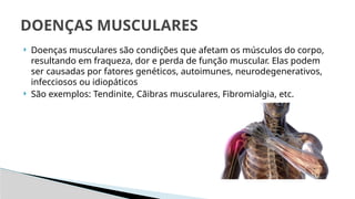 Anatomia do corpo humano: Sistema muscular | PPTX