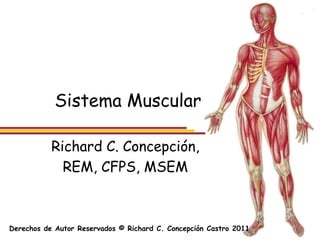 Sistema Muscular

           Richard C. Concepción,
             REM, CFPS, MSEM



Derechos de Autor Reservados © Richard C. Concepción Castro 2011
 